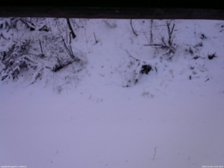 長野県菅平高原 ゆたか山荘 南側 2025/12/04 13:45