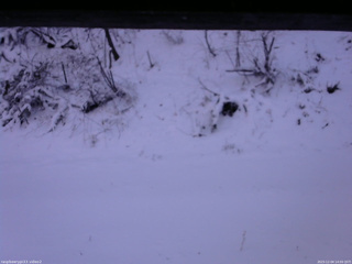 長野県菅平高原 ゆたか山荘 南側 2025/12/04 14:00