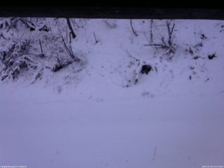 長野県菅平高原 ゆたか山荘 南側 2025/12/04 14:15