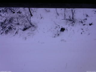 長野県菅平高原 ゆたか山荘 南側 2025/12/04 14:45