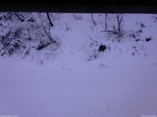 長野県菅平高原 ゆたか山荘 南側 2025/12/04 15:00