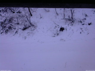 長野県菅平高原 ゆたか山荘 南側 2025/12/04 15:15