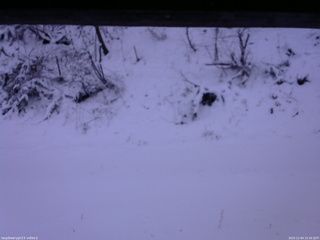 長野県菅平高原 ゆたか山荘 南側 2025/12/04 15:30