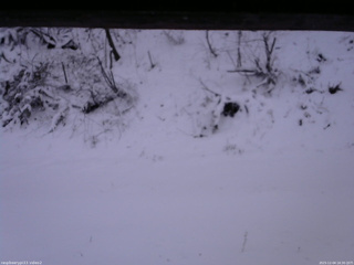 長野県菅平高原 ゆたか山荘 南側 2025/12/04 16:30