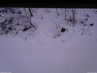 長野県菅平高原 ゆたか山荘 南側 2025/12/04 16:45