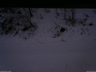 長野県菅平高原 ゆたか山荘 南側 2025/12/05 06:15