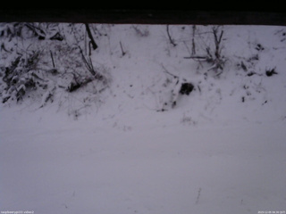 長野県菅平高原 ゆたか山荘 南側 2025/12/05 06:30