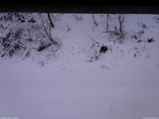 長野県菅平高原 ゆたか山荘 南側 2025/12/05 06:45