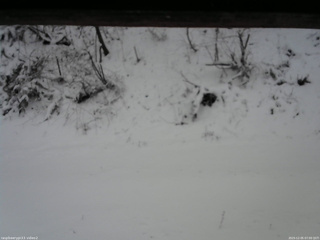 長野県菅平高原 ゆたか山荘 南側 2025/12/05 07:00