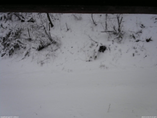 長野県菅平高原 ゆたか山荘 南側 2025/12/05 07:15