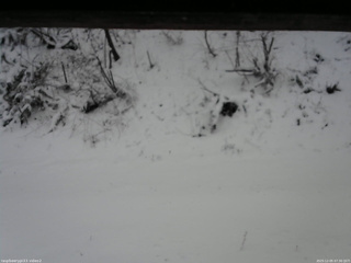 長野県菅平高原 ゆたか山荘 南側 2025/12/05 07:30