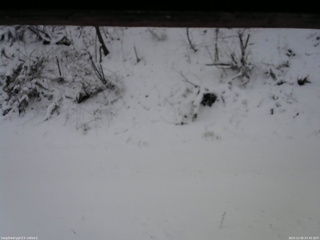 長野県菅平高原 ゆたか山荘 南側 2025/12/05 07:45