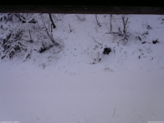 長野県菅平高原 ゆたか山荘 南側 2025/12/05 08:00