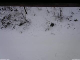 長野県菅平高原 ゆたか山荘 南側 2025/12/05 08:15