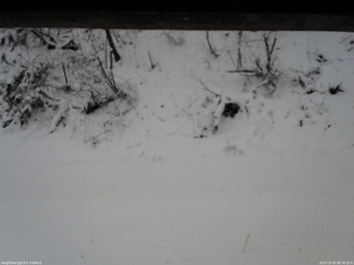 長野県菅平高原 ゆたか山荘 南側 2025/12/05 08:30