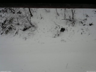 長野県菅平高原 ゆたか山荘 南側 2025/12/05 08:45