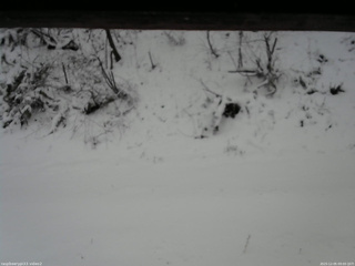 長野県菅平高原 ゆたか山荘 南側 2025/12/05 09:00