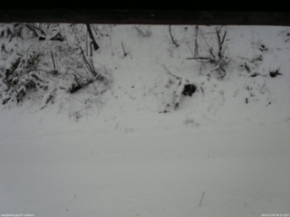 長野県菅平高原 ゆたか山荘 南側 2025/12/05 09:15