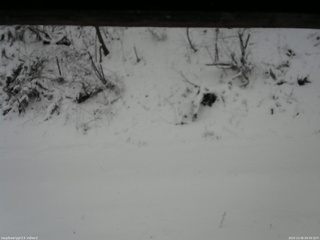 長野県菅平高原 ゆたか山荘 南側 2025/12/05 09:30