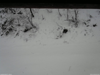 長野県菅平高原 ゆたか山荘 南側 2025/12/05 09:45