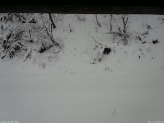 長野県菅平高原 ゆたか山荘 南側 2025/12/05 10:15