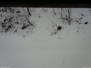 長野県菅平高原 ゆたか山荘 南側 2025/12/05 10:30