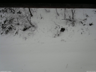 長野県菅平高原 ゆたか山荘 南側 2025/12/05 10:45