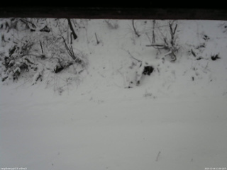 長野県菅平高原 ゆたか山荘 南側 2025/12/05 11:00