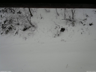 長野県菅平高原 ゆたか山荘 南側 2025/12/05 11:30