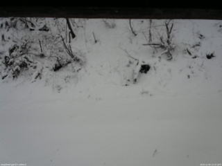 長野県菅平高原 ゆたか山荘 南側 2025/12/05 12:15