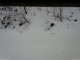 長野県菅平高原 ゆたか山荘 南側 2025/12/05 12:30