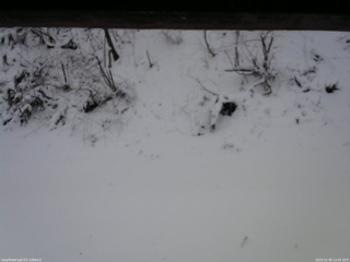 長野県菅平高原 ゆたか山荘 南側 2025/12/05 12:45