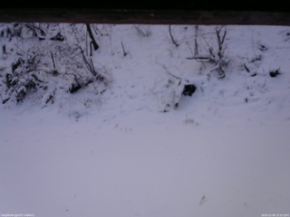 長野県菅平高原 ゆたか山荘 南側 2025/12/05 13:15