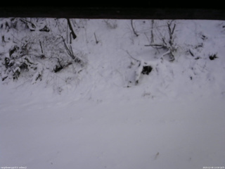 長野県菅平高原 ゆたか山荘 南側 2025/12/05 13:30