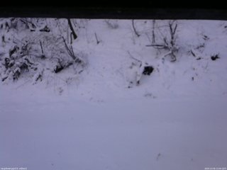 長野県菅平高原 ゆたか山荘 南側 2025/12/05 13:45