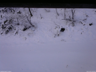 長野県菅平高原 ゆたか山荘 南側 2025/12/05 14:00