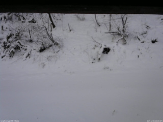 長野県菅平高原 ゆたか山荘 南側 2025/12/05 14:15