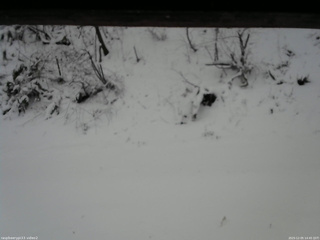 長野県菅平高原 ゆたか山荘 南側 2025/12/05 14:45