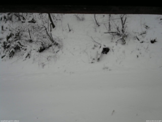 長野県菅平高原 ゆたか山荘 南側 2025/12/05 15:15