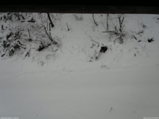 長野県菅平高原 ゆたか山荘 南側 2025/12/05 15:30