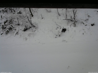 長野県菅平高原 ゆたか山荘 南側 2025/12/05 15:45