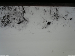 長野県菅平高原 ゆたか山荘 南側 2025/12/05 16:00