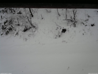 長野県菅平高原 ゆたか山荘 南側 2025/12/05 16:15