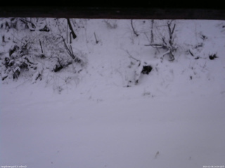 長野県菅平高原 ゆたか山荘 南側 2025/12/05 16:30