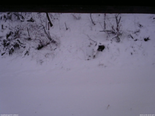 長野県菅平高原 ゆたか山荘 南側 2025/12/05 16:45