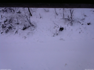 長野県菅平高原 ゆたか山荘 南側 2025/12/06 07:15