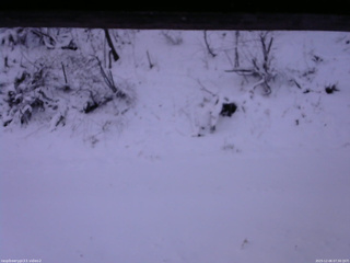 長野県菅平高原 ゆたか山荘 南側 2025/12/06 07:30