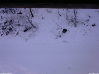 長野県菅平高原 ゆたか山荘 南側 2025/12/06 08:00