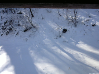 長野県菅平高原 ゆたか山荘 南側 2025/12/06 09:45