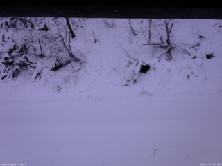 長野県菅平高原 ゆたか山荘 南側 2025/12/06 14:15